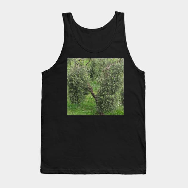 Olive tree Mediterranean Grove Tank Top by oknoki